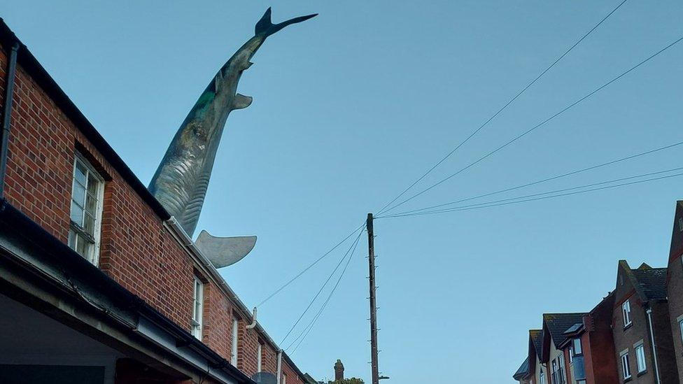 Headington Shark