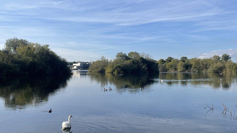 The Nene Wetlands