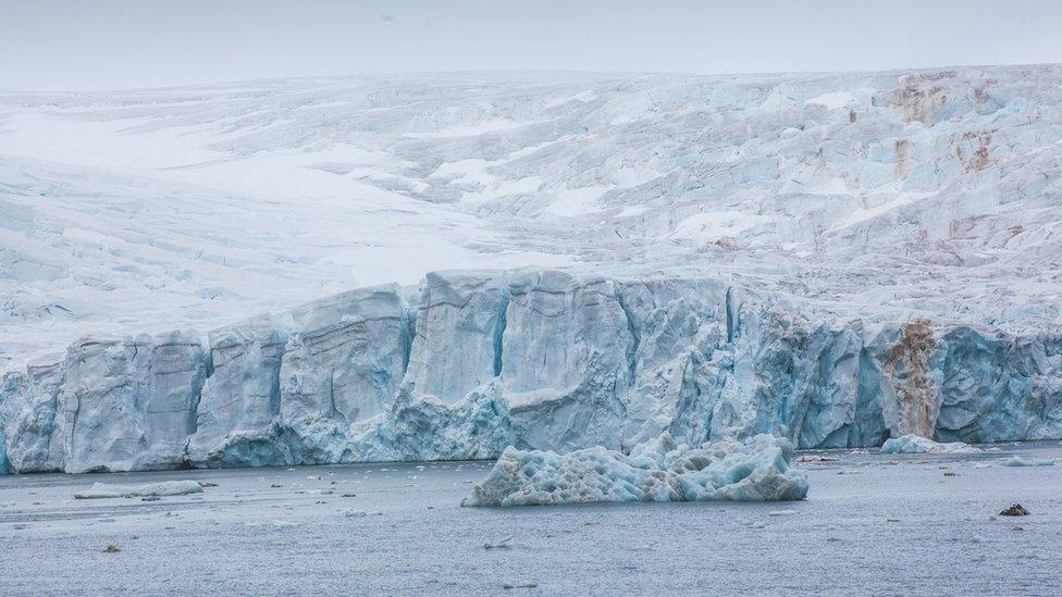 Glacier-in-Franz-Josef-Land.