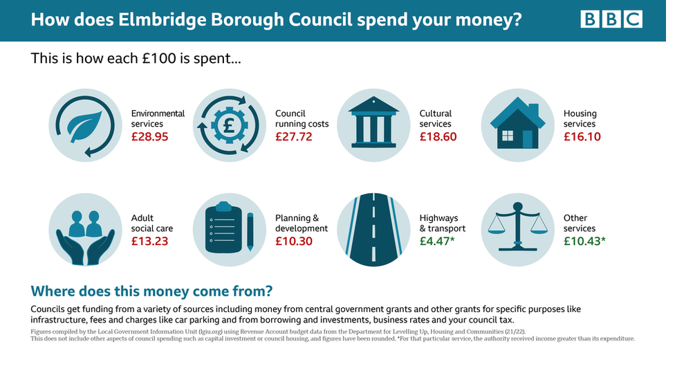 Elmbridge election graphic