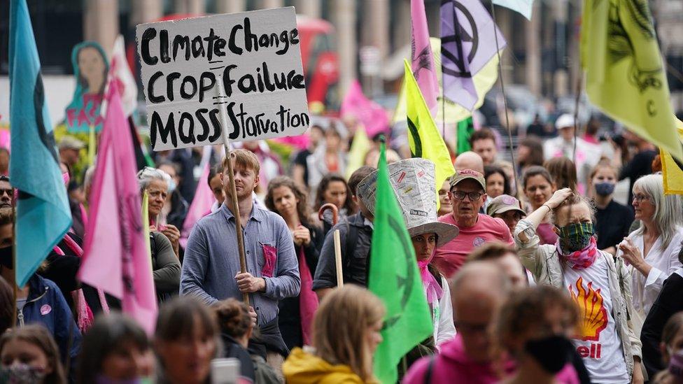 Extinction Rebellion protesters in central London