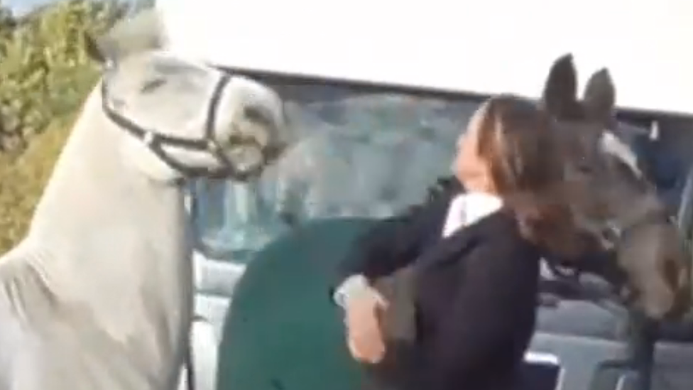 Woman attempts to hit horse