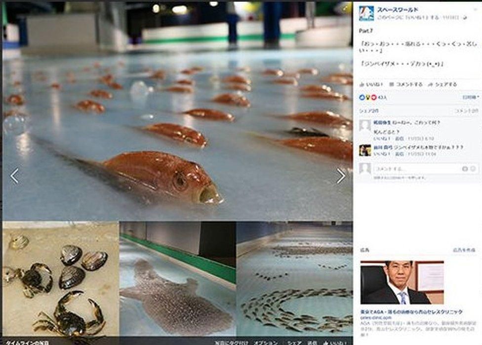 Screenshot of tweets on Japanese frozen fish skating rink