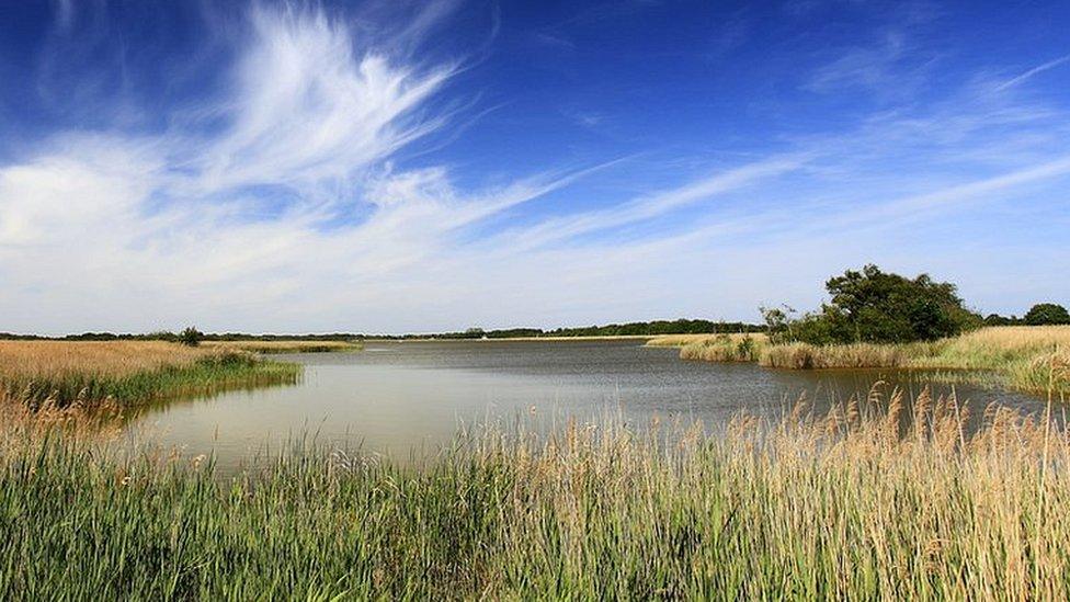 Hickling Broad