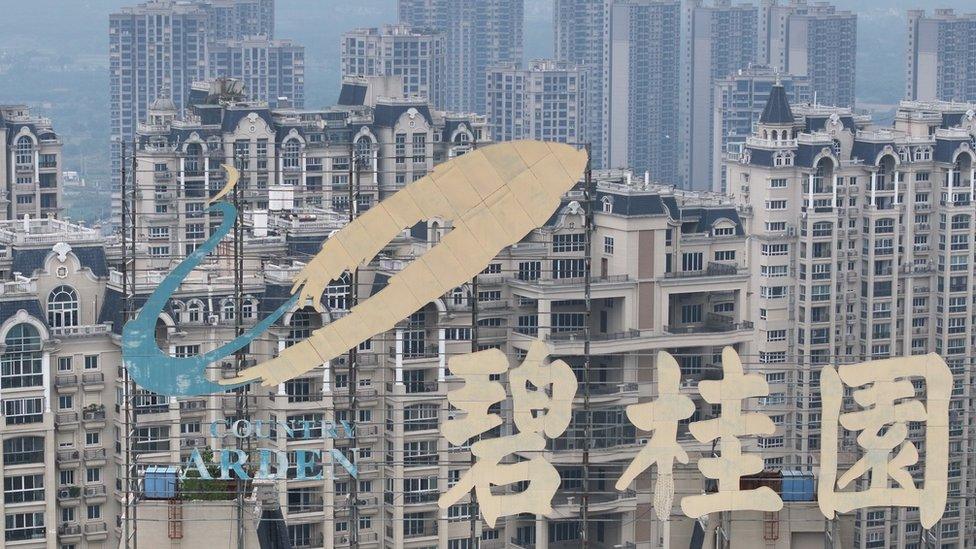 Aerial view of a housing project built by China's property giant Country Garden.