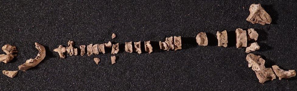 The Mansell Street man