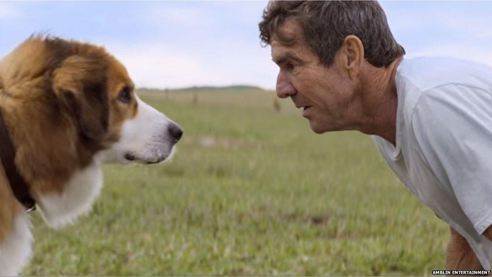 Dennis Quaid in A Dog's Purpose