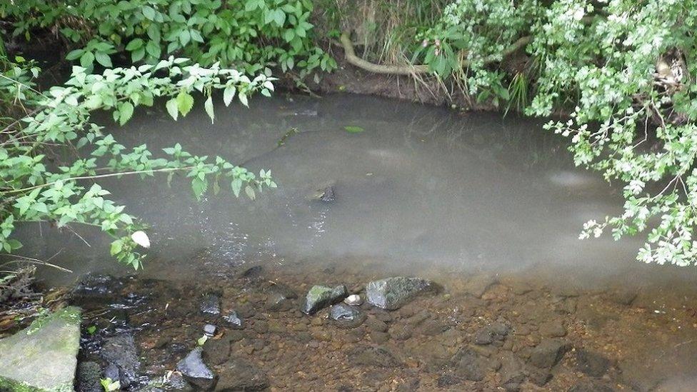 Pollution in Hookstone Beck