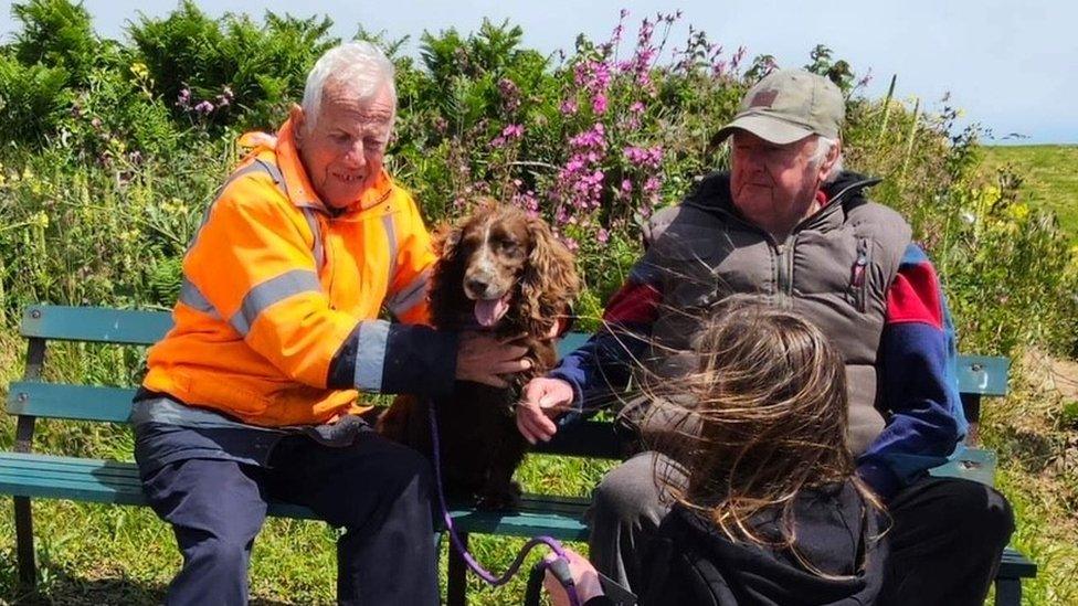 Dog reunited with family at top of cliff