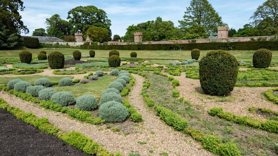 Struggling box hedge, Oxburgh Hall