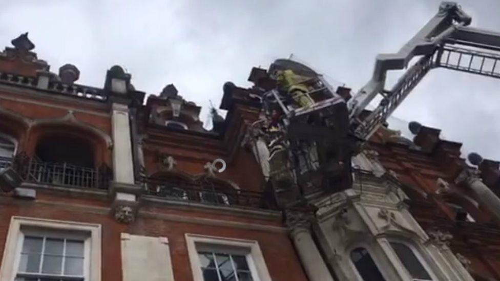 Firefighter on aerial platform trying to rescue trapped bird