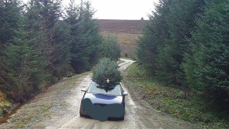 Car leaving Cloceanog forest