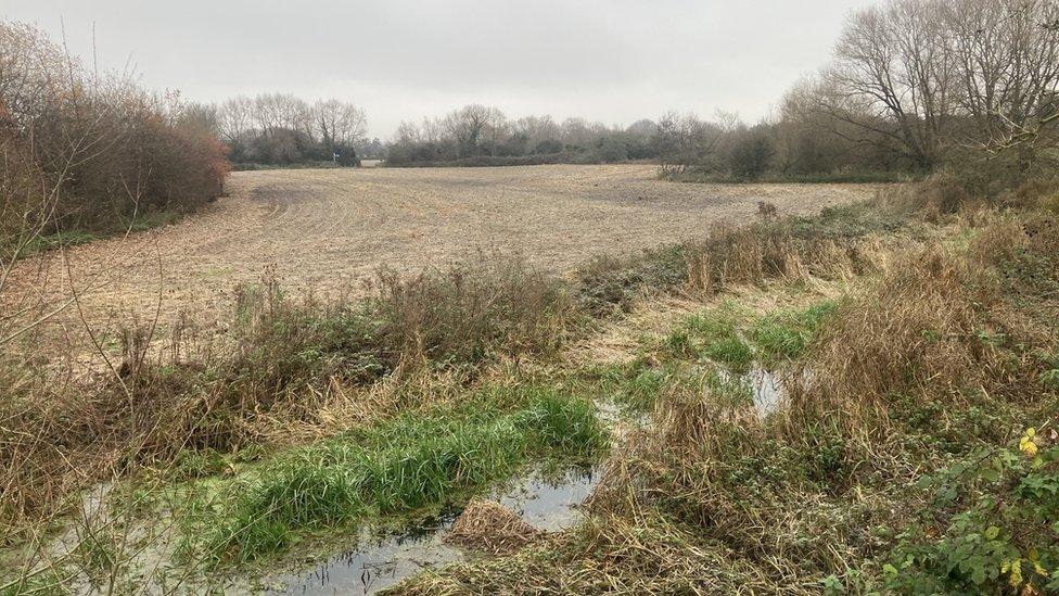 Soggy looking land in Winter - grey sky, trees with no leaves.