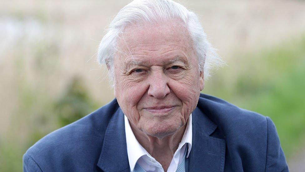 sir-david-attenborough