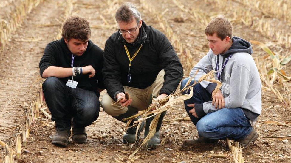 Easton & Otley College students in field