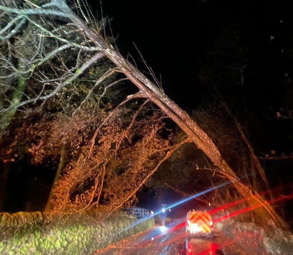 A tree blocking the road on B5342 at Chapel Stile