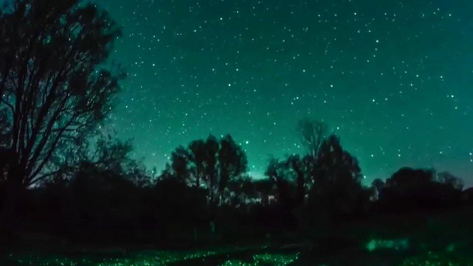 Stars over South Downs