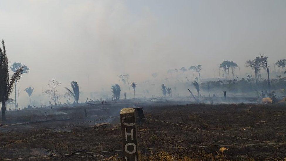 Scorched area in the village of Machadinho D'Oeste