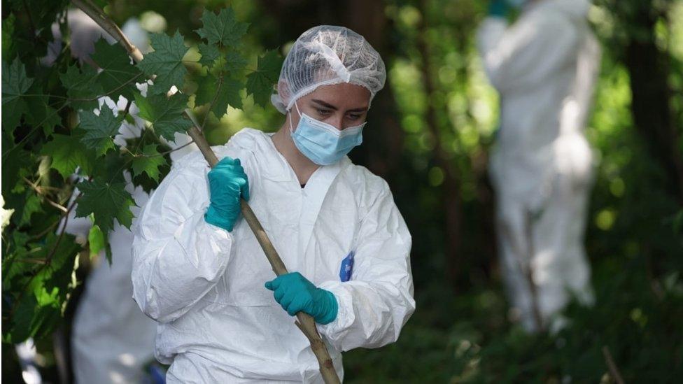 Forensic officer in Hockley Woods in Essex