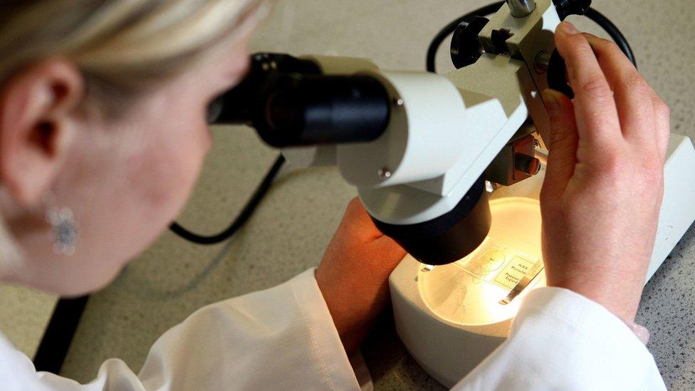 woman looking through microscope