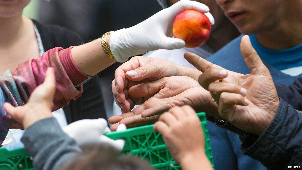 Helpers distribute fruit to migrants in front of the State Office for Health and Social Affairs (LaGeSo), in Berlin, Germany, September 3, 2015.