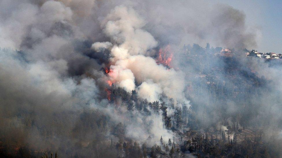 Smoke billows from a wildfire near the Israeli village of Moshav Shoresh (16 August 2021)