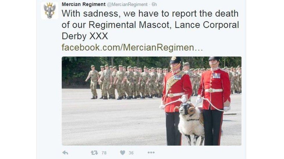 Tweet about Lance Corporal Derby XXX