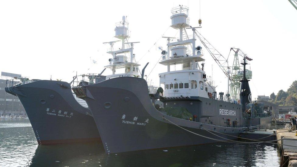 Japanese whaling vessels the Yushin Maru and Yushin Maru No.2, at a port in Shimonoseki, south-western Japan