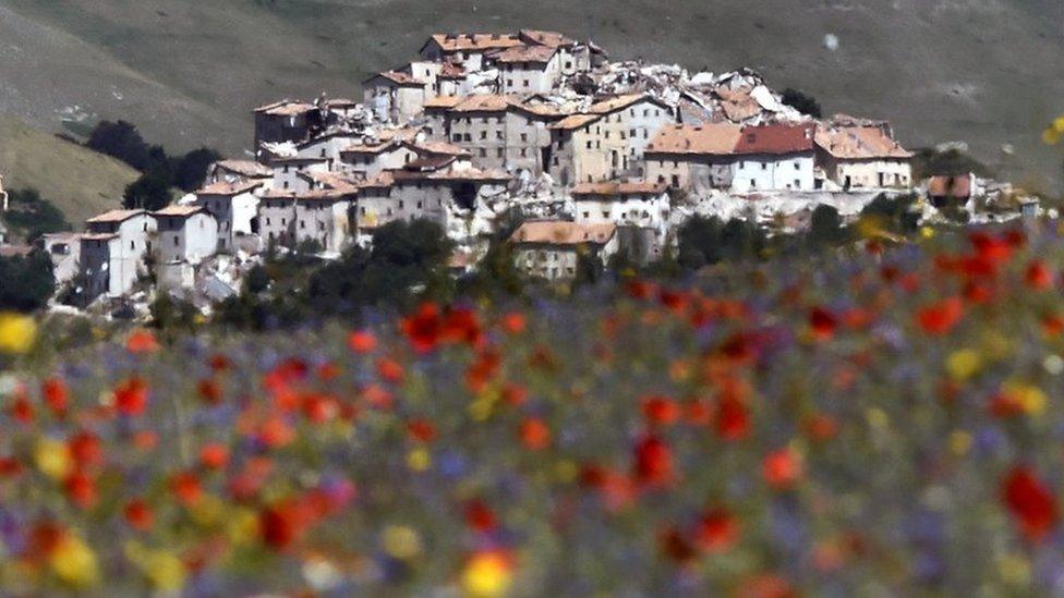 Castelluccio surrounded by poppies, cornflowers and lentils