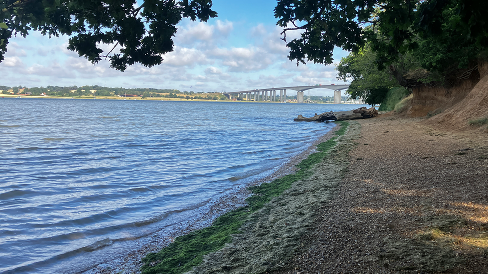 Shoreline in Orwell Country Park