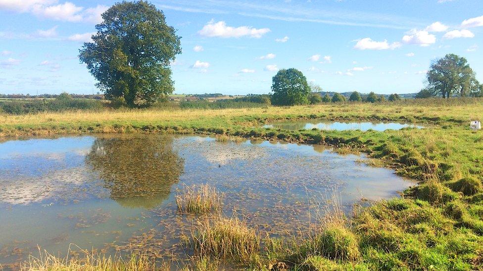 A new clean water pond