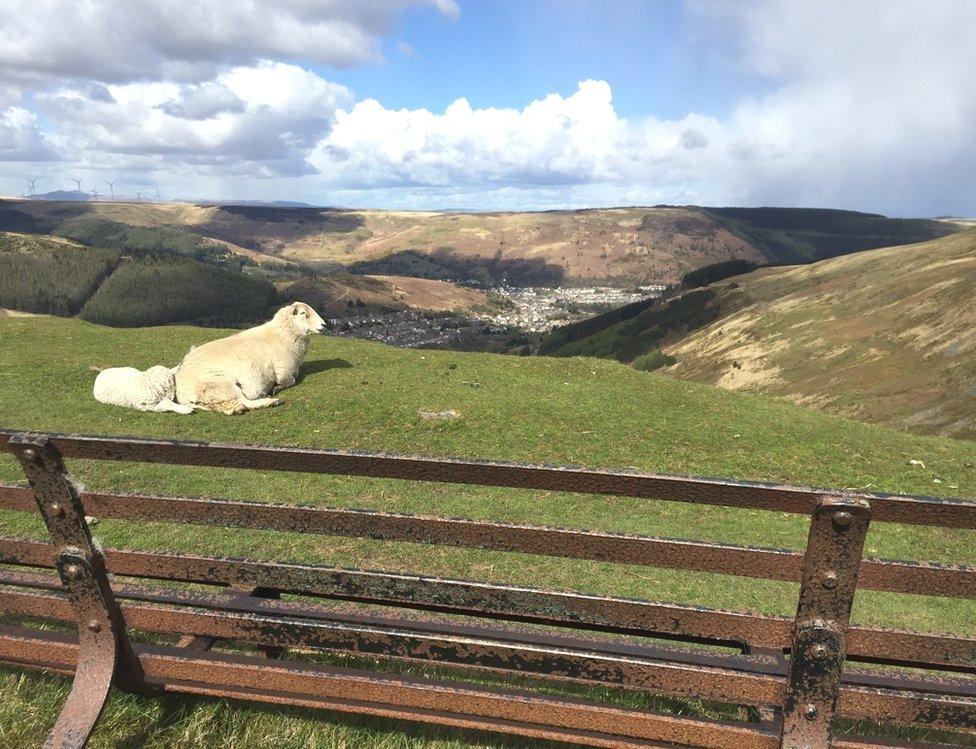 A view of Treorchy from the Bwlch mountain