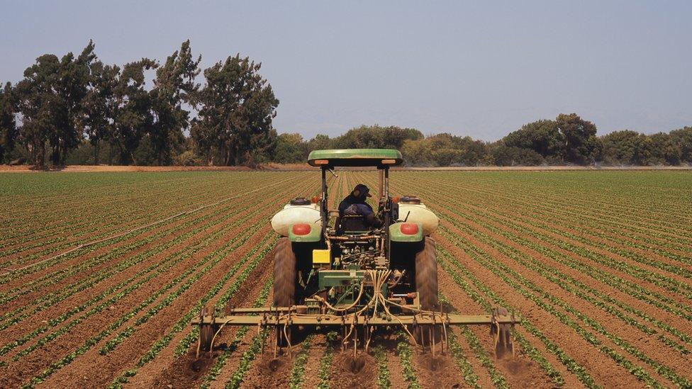 Farmer in field