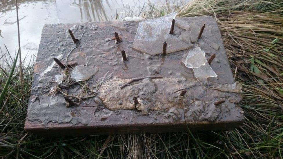 Stinger-style trap found in puddle