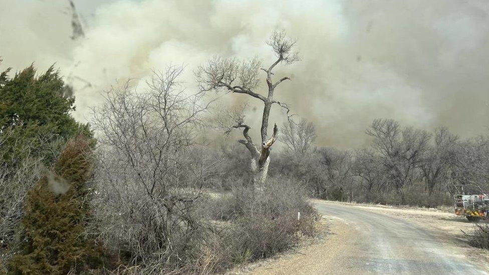 Wildfire in Texas