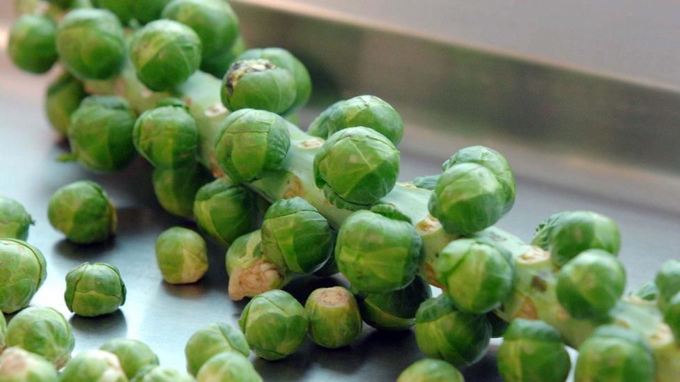 Brussels sprout