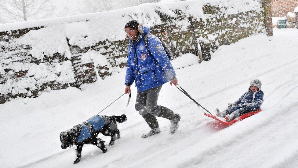 Man walking dog and pulling a sledge