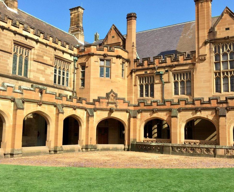 The fallen jacaranda tree was quickly removed from the quadrangle. (25 Oct 2016)