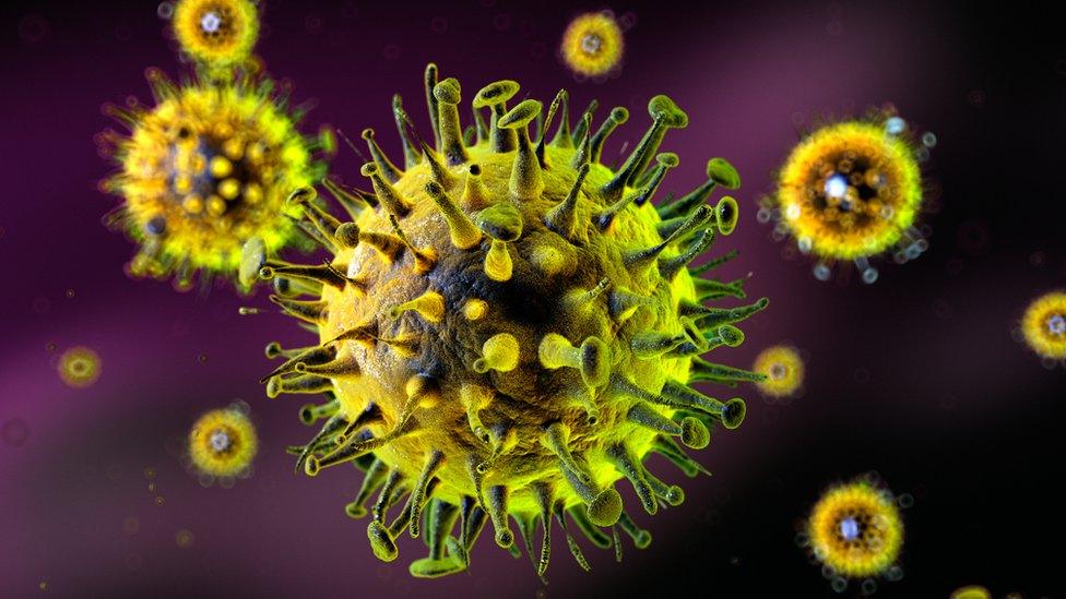 Influenza virus