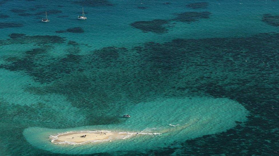 An aerial view of Vlassof Cay in Australia's Great Barrier Reef