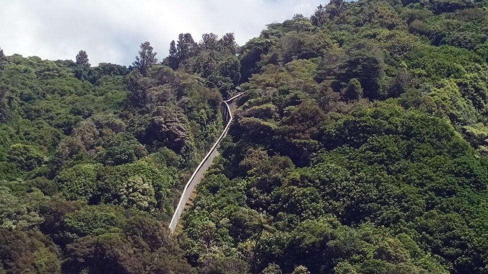 Zealandia fence