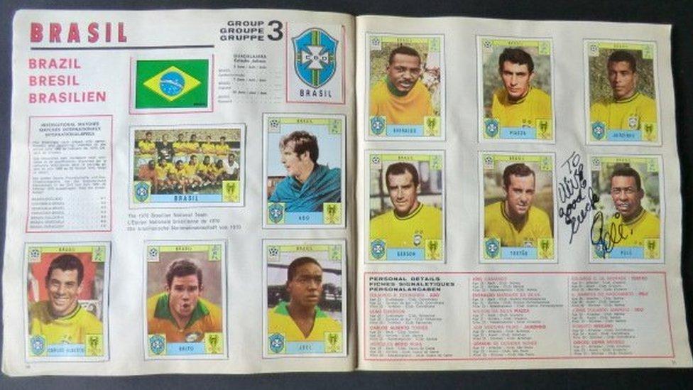 panini-sticker-album.