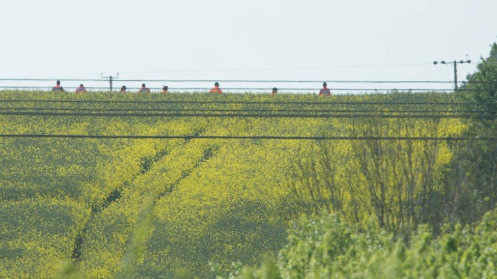 Search teams near Elton accident