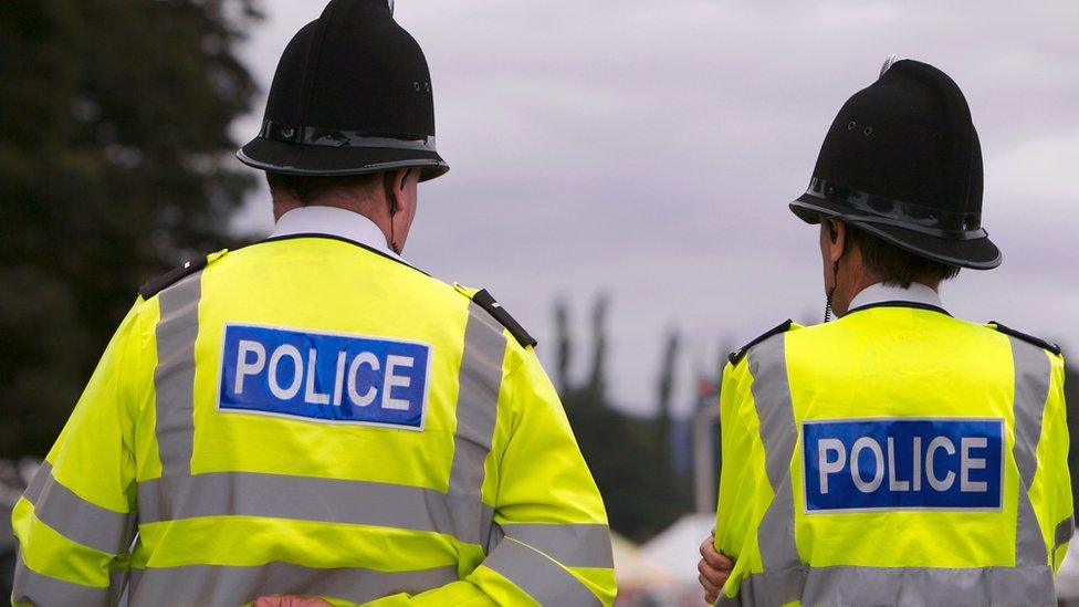 Two police officers facing backs to camera