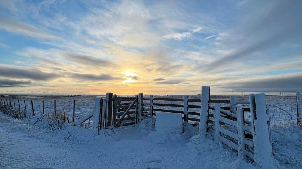 Snowy fields in Elsdon, Northumberland