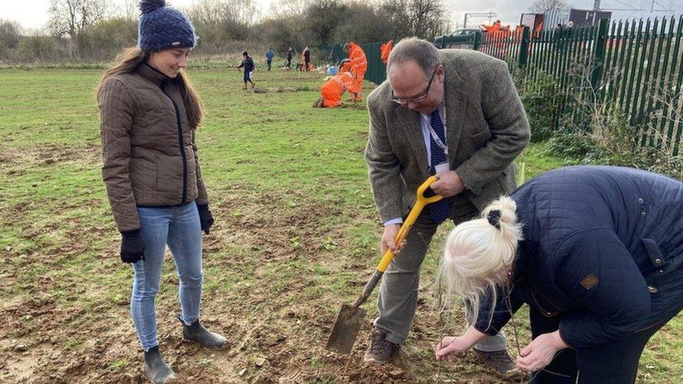 People planting frees