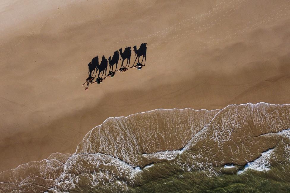 In this aerial view, Sophie Matterson and her five camels arrive to greet supporters on the beach at Byron Bay on 10 December 2021 in Byron Bay, Australia.