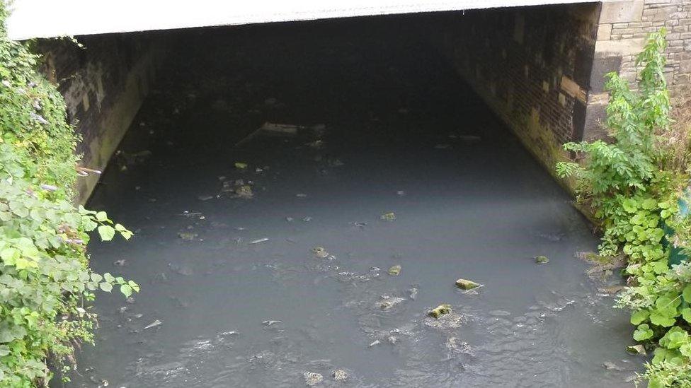 An image of a stream with dirty looking polluted water