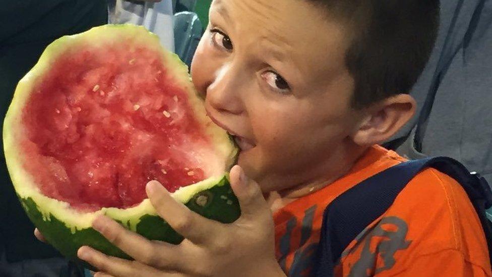 Mitchell Schibeci, 10, has reached cult status with cricket fans after his fruit eating antics at the Melbourne Cricket Ground