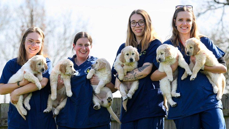 Trigger’s last puppies: five daughters named Jenny, Rita, Hermione, Sandy and Indy, and one son, Billy.